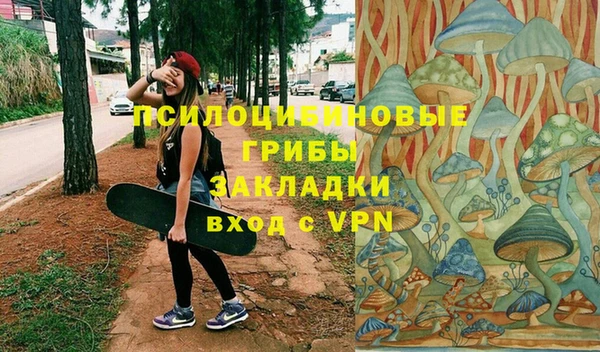 ГАЛЛЮЦИНОГЕННЫЕ ГРИБЫ Алексин