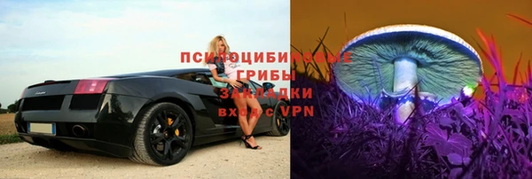 ГАЛЛЮЦИНОГЕННЫЕ ГРИБЫ Алексин