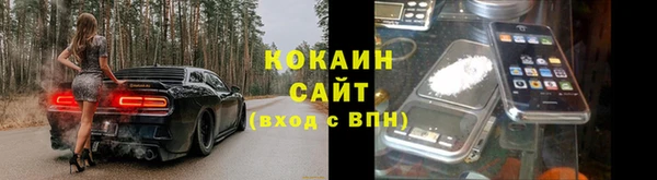 ГАЛЛЮЦИНОГЕННЫЕ ГРИБЫ Алексин
