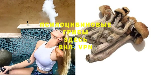 ГАЛЛЮЦИНОГЕННЫЕ ГРИБЫ Алексин