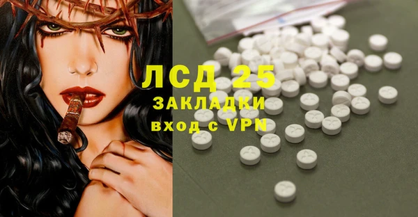 ГАЛЛЮЦИНОГЕННЫЕ ГРИБЫ Алексин