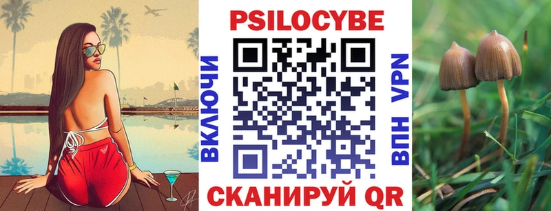 Галлюциногенные грибы Psilocybine cubensis  как найти наркотики  Вихоревка 
